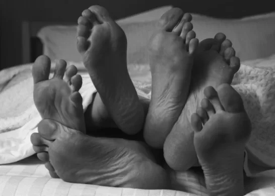 El Chacotero Sentimental (19)