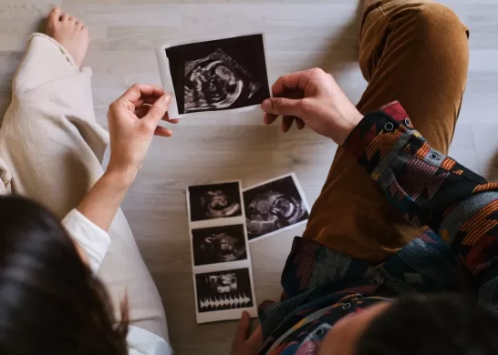 El Chacotero Sentimental 22 12