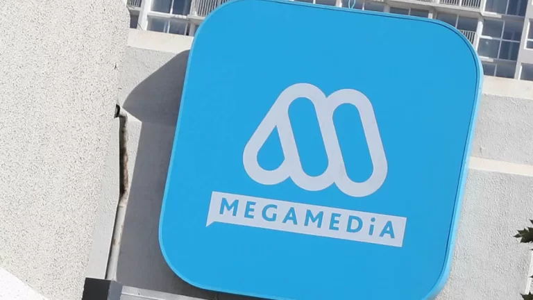 Fran García Huidobro Mega