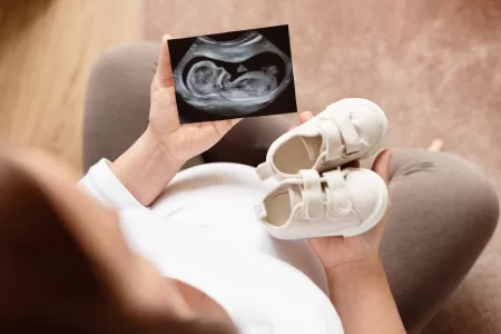 Embarazos En El Espectáculo