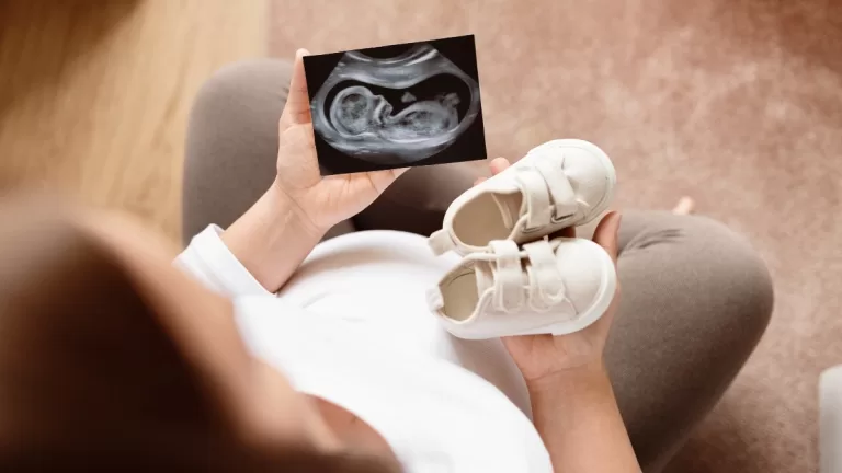 Embarazos En El Espectáculo