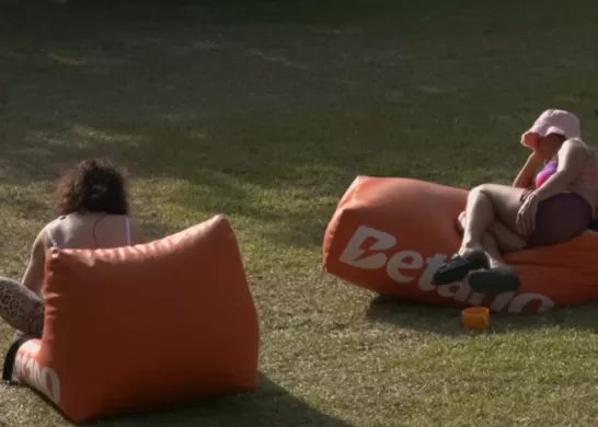 Berta Lasala Sobre Daniel Alcaíno