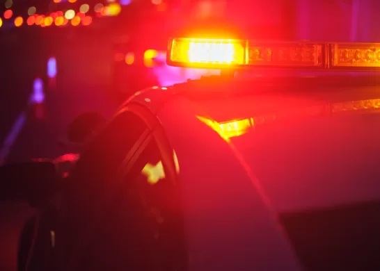 Chacotero Sentimental 22 1