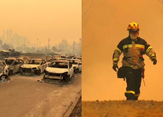 Cuentas Habilitadas Para Donar Por Incendios Forestales