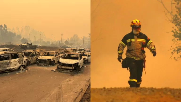 Cuentas Habilitadas Para Donar Por Incendios Forestales