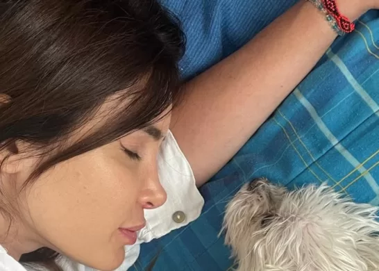 Fran Undurraga Sensible Perdida