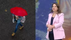 Pronóstico Del Tiempo, Yael Szewkis