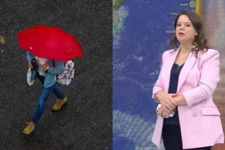 Pronóstico Del Tiempo, Yael Szewkis