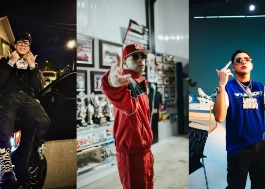 Todos Por Chile, Evento Solidario