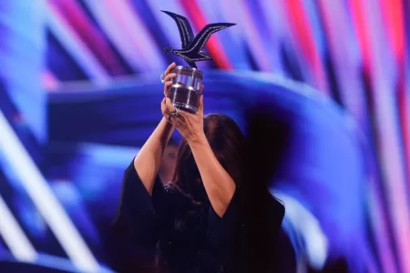 Festival De Viña (3)