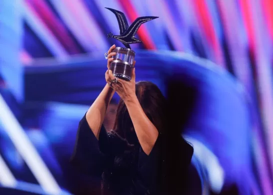 Festival De Viña (3)