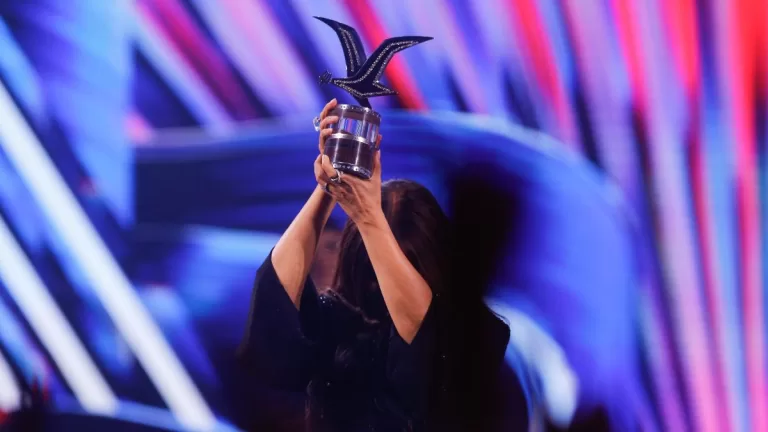 Festival De Viña (3)