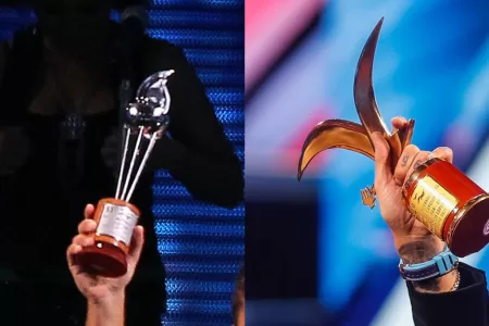 Festival De Viña (6)