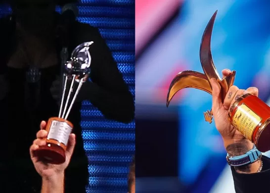 Festival De Viña (6)