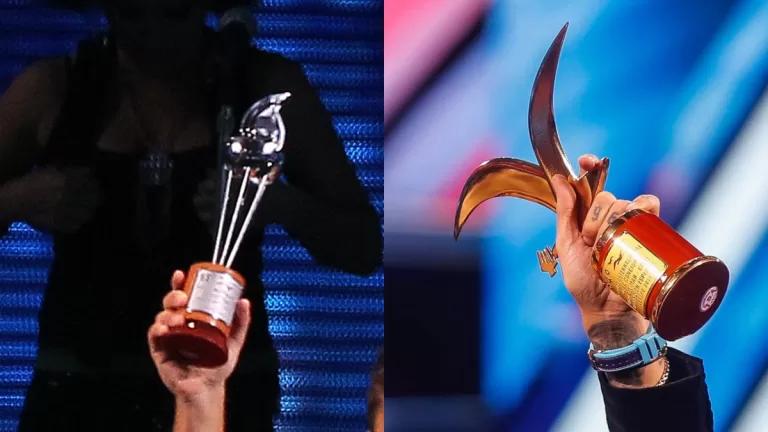 Festival De Viña (6)