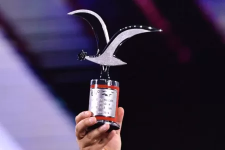 Festival De Viña (8)