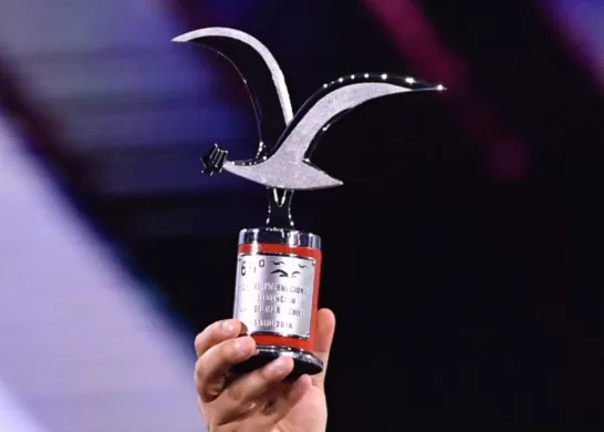 Festival De Viña (8)