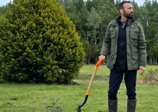 Jordi Castell Revela Que Sufrió Violencia En Una Relación