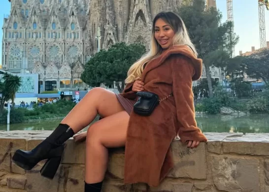 Naya Fácil Tesla Cybertruck