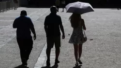 Pronóstico Del Tiempo Michelle Adam