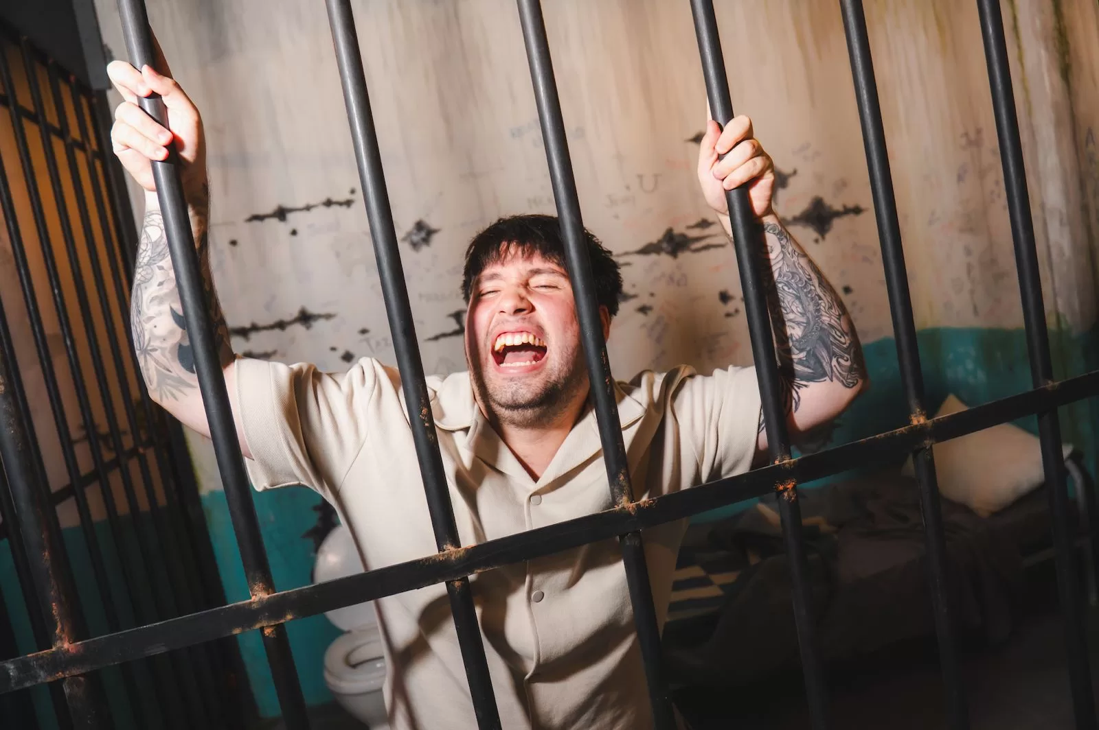 WhatsApp Image 2026 02 11 At 11.54.11 AM