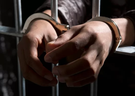 Canibalismo En La Serena