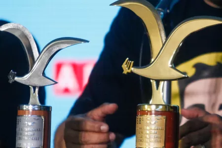 Gaviotas Viña Comediante