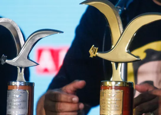 Gaviotas Viña Comediante