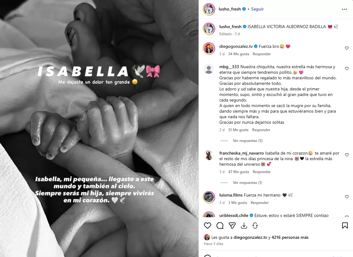 Instagram@lushofresh