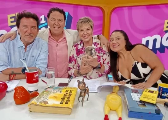 Palta Mélendez Regresa A La Televisión Nacional