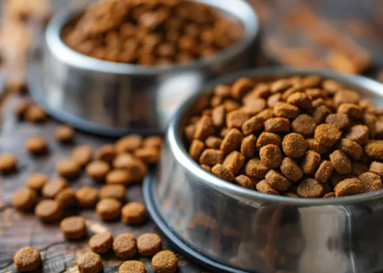 Alimentos Mascotas, Portada Comercial