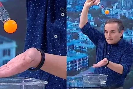 Chascarro De Alejandro Sepúlveda