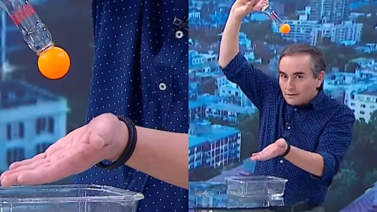 Chascarro De Alejandro Sepúlveda