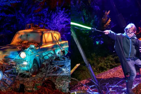 Harry Potter Experiencia, Venta De Entradas, Lugar Y Detalles