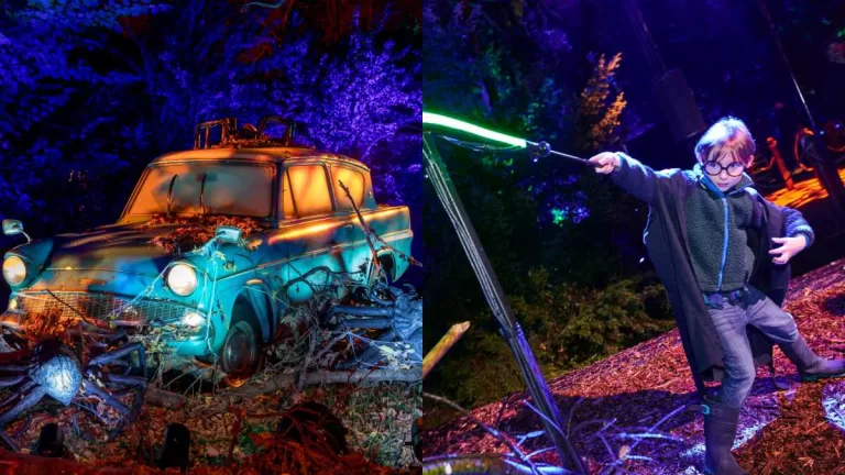 Harry Potter Experiencia, Venta De Entradas, Lugar Y Detalles