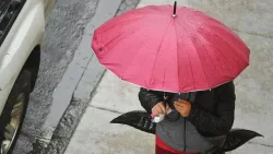 Lluvia En Santiago, Jaime Leyton