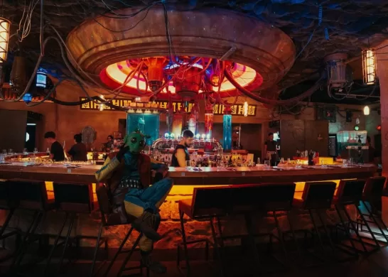 Panorama Día De Star Wars