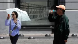 Pronóstico Del Tiempo Alejandro Sepúlveda