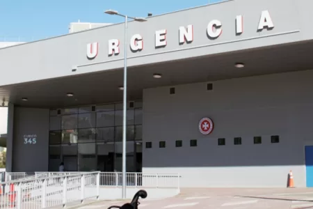 Respuesta De La Ex Posta Central Tras Denuncia De Negligencia