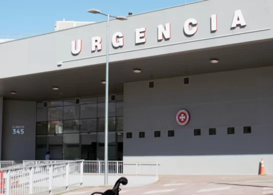 Respuesta De La Ex Posta Central Tras Denuncia De Negligencia