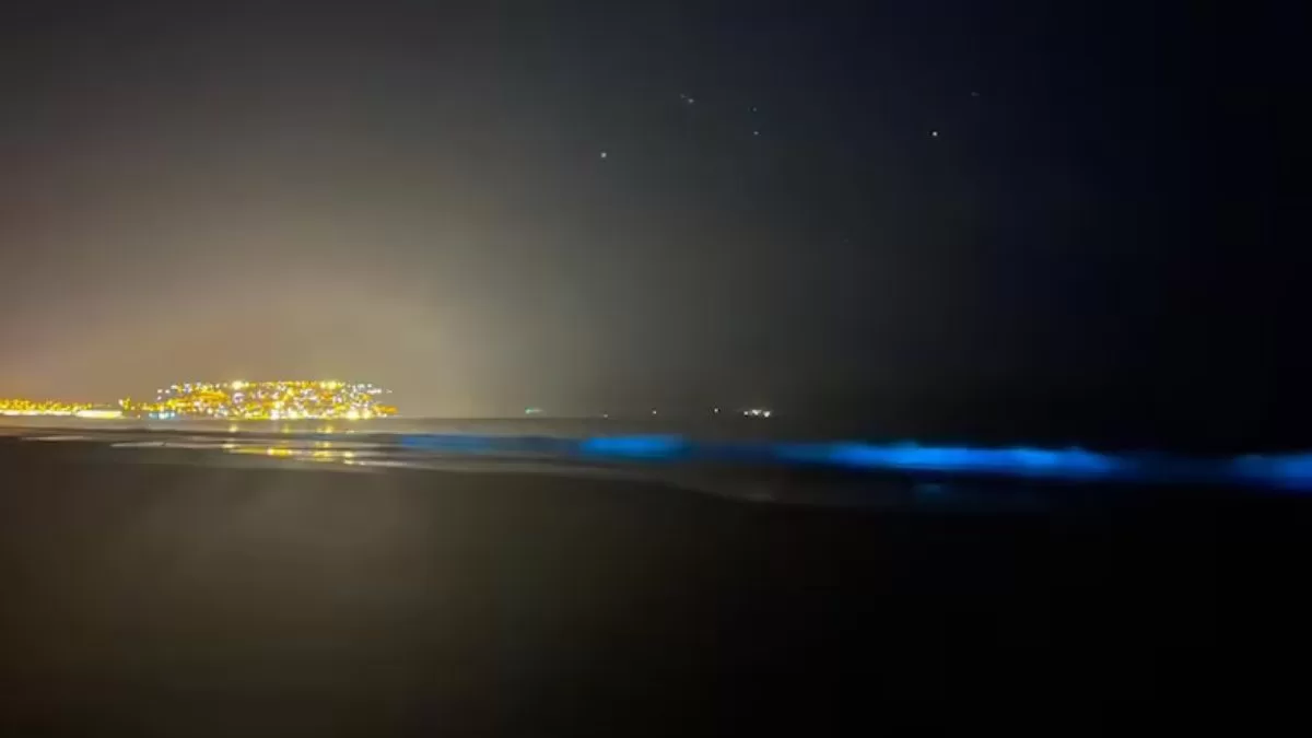 Bioluminiscencia En La Playa Guanaqueros