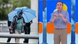 Pronóstico Del Tiempo, Mega