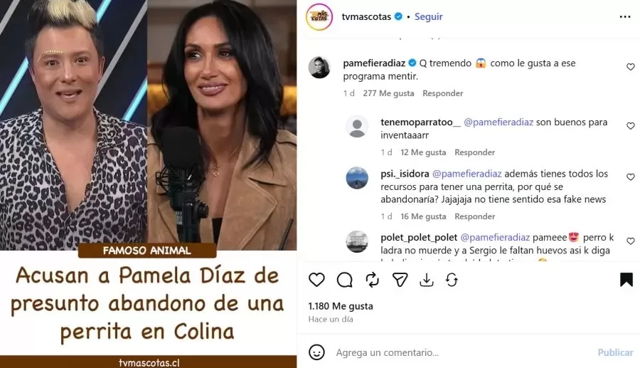 Respuesta De Pamela Díaz