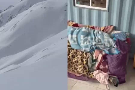 Videos Del Refugio