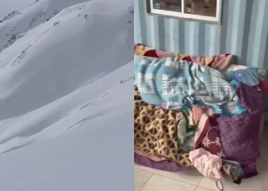 Videos Del Refugio