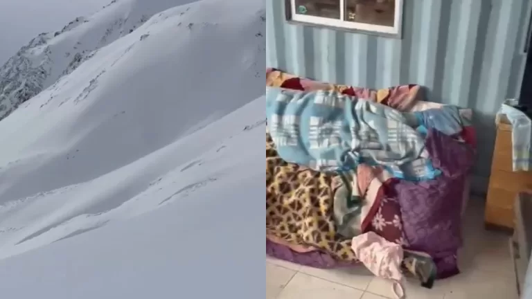 Videos Del Refugio