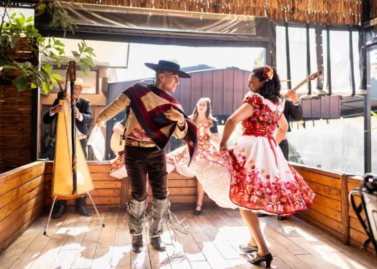 Cueca De Abastible