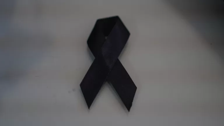 Muere Periodista Chileno