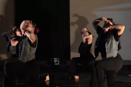 Danza UAH