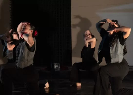 Danza UAH